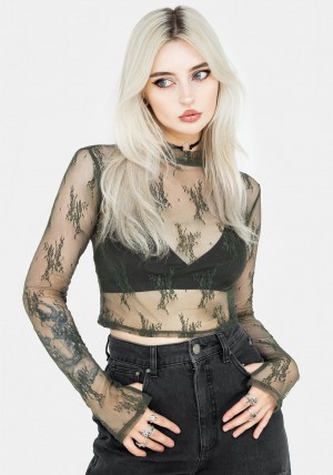 Disturbia Eternal Krajkové Long Sleeve Crop Top - Green | QO3570421