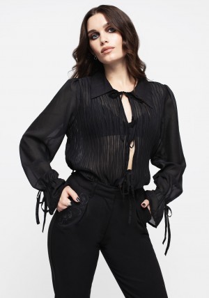 Disturbia Evelyn Sheer Ruffle Blouse | DR2539047