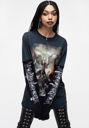 Disturbia Frazetta Death Dealer 2 Long Sleeve T-Shirt | CV2398561