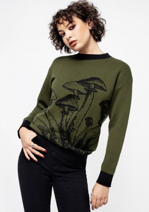 Disturbia Mildew Unisex Mushroom Jumper | SX0624813