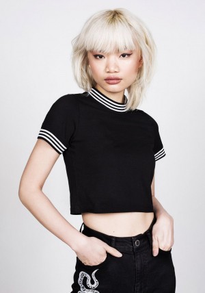 Disturbia Monica Crop Top | MJ5927834