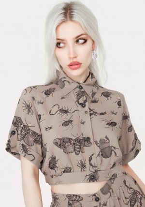 Disturbia Parasite Bugs Print Crop Krátké Sleeve Shirt - Taupe | NM7608451