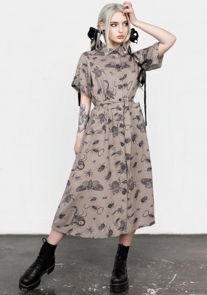 Disturbia Parasite Bugs Print Midi Krátké Sleeve Shirt Šaty - Taupe | LY1234756