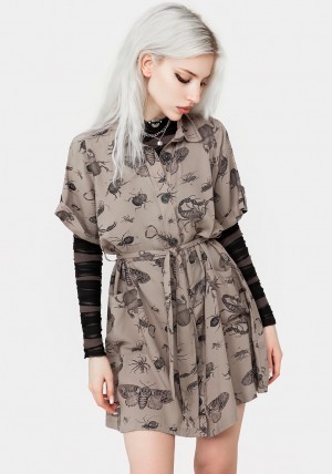 Disturbia Parasite Bugs Print Mini Krátké Sleeve Shirt Šaty - Taupe | CK8024371