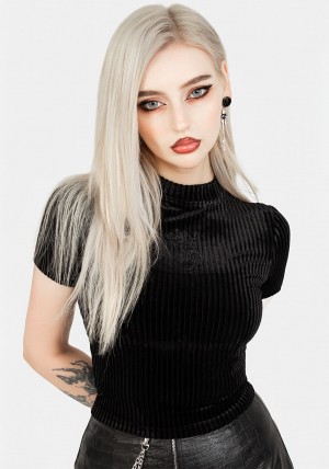 Disturbia Rosaline Velour Rib Crop Top | SG9582714