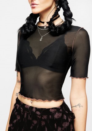 Disturbia Sauvage Mesh Crop Top | DO6580147