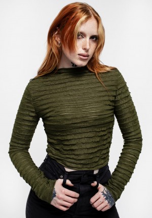 Disturbia Vitae Pruhovaný Crop Top - Green | ZR0834596