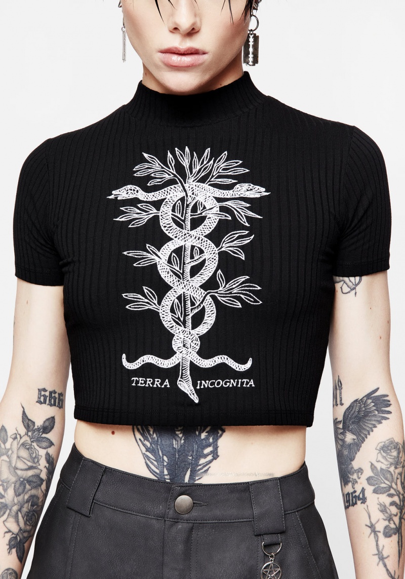 Disturbia Caduceus Embroidered High Neck Crop Top | BZ5309768