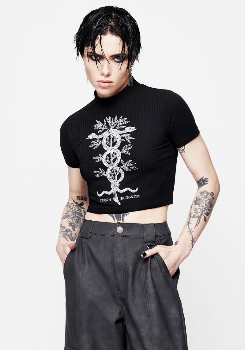 Disturbia Caduceus Embroidered High Neck Crop Top | BZ5309768