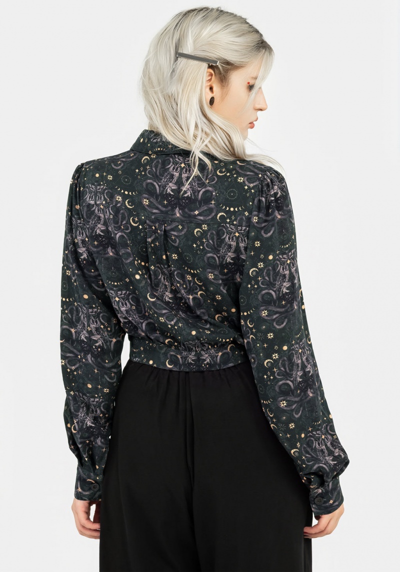 Disturbia Cailleach Button Up Crop Shirt | CI9087543