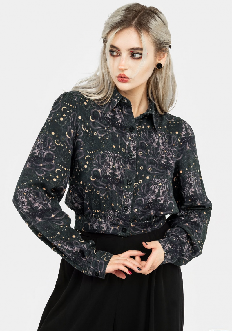 Disturbia Cailleach Button Up Crop Shirt | CI9087543