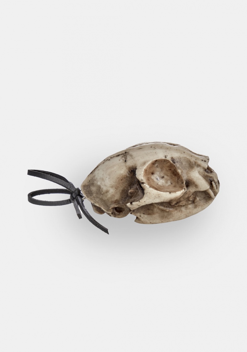 Disturbia Cat Skull Offering | DO9052786