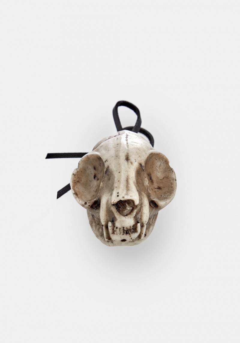 Disturbia Cat Skull Offering | DO9052786