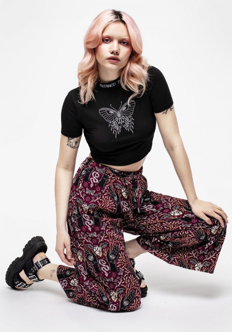 Disturbia Dolore Rib Embroidered Crop Top | XT1972568