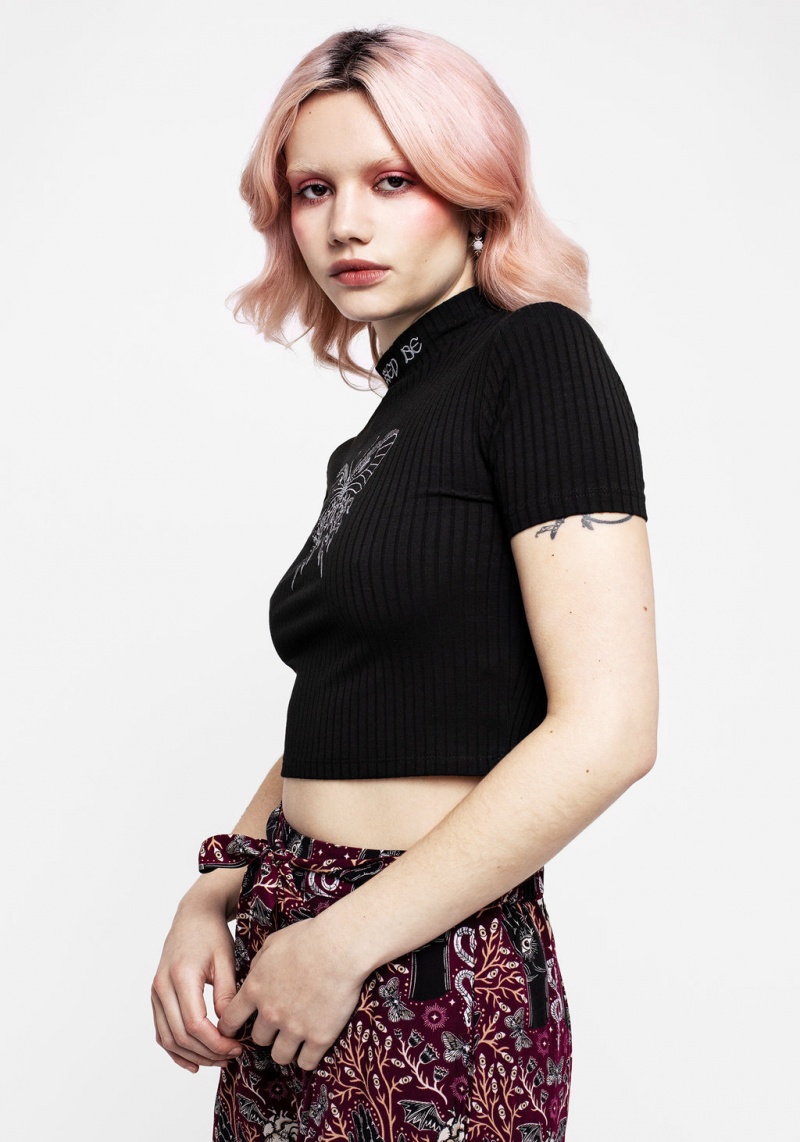 Disturbia Dolore Rib Embroidered Crop Top | XT1972568