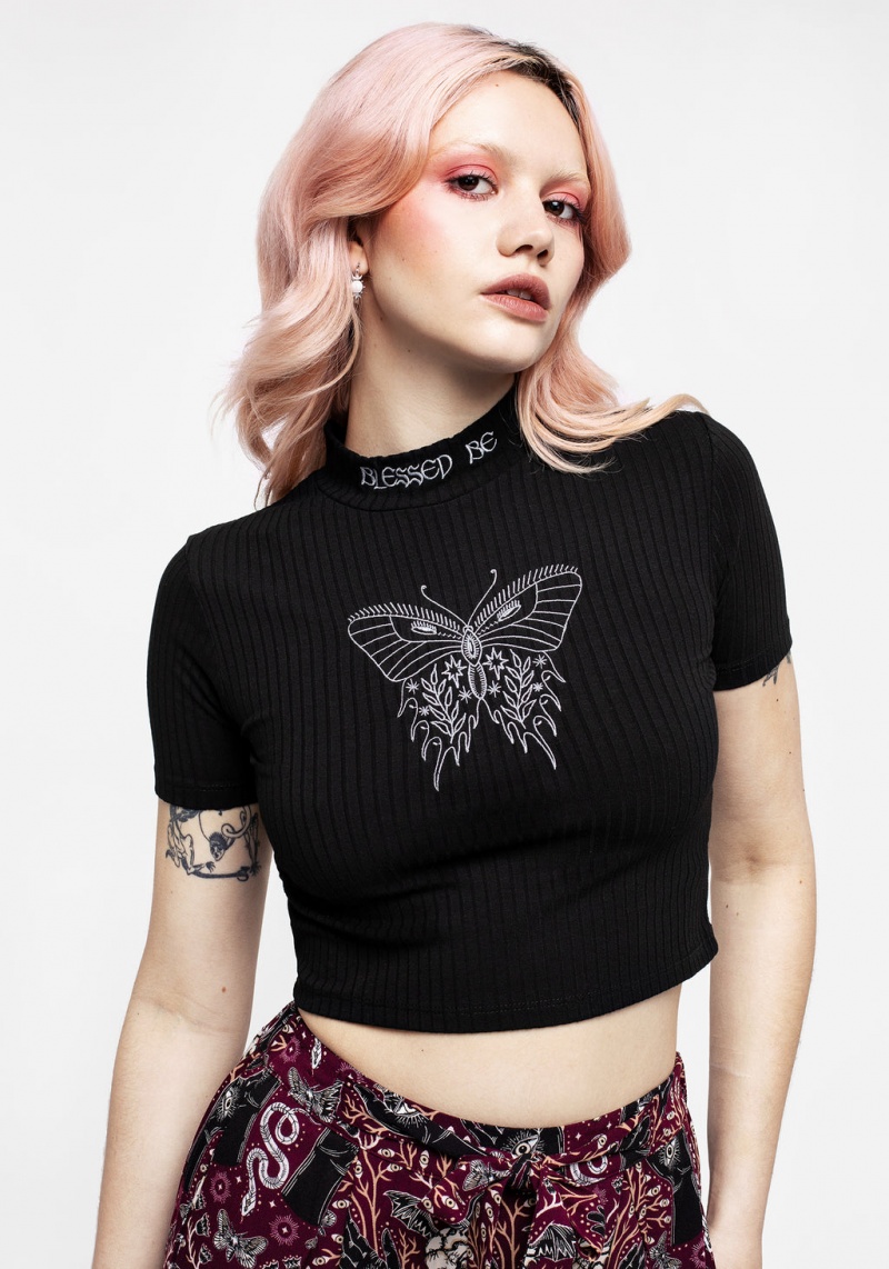 Disturbia Dolore Rib Embroidered Crop Top | XT1972568