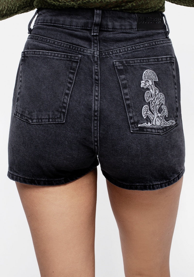 Disturbia Eden Embroidered Denim Mom Krátké | HT4936721