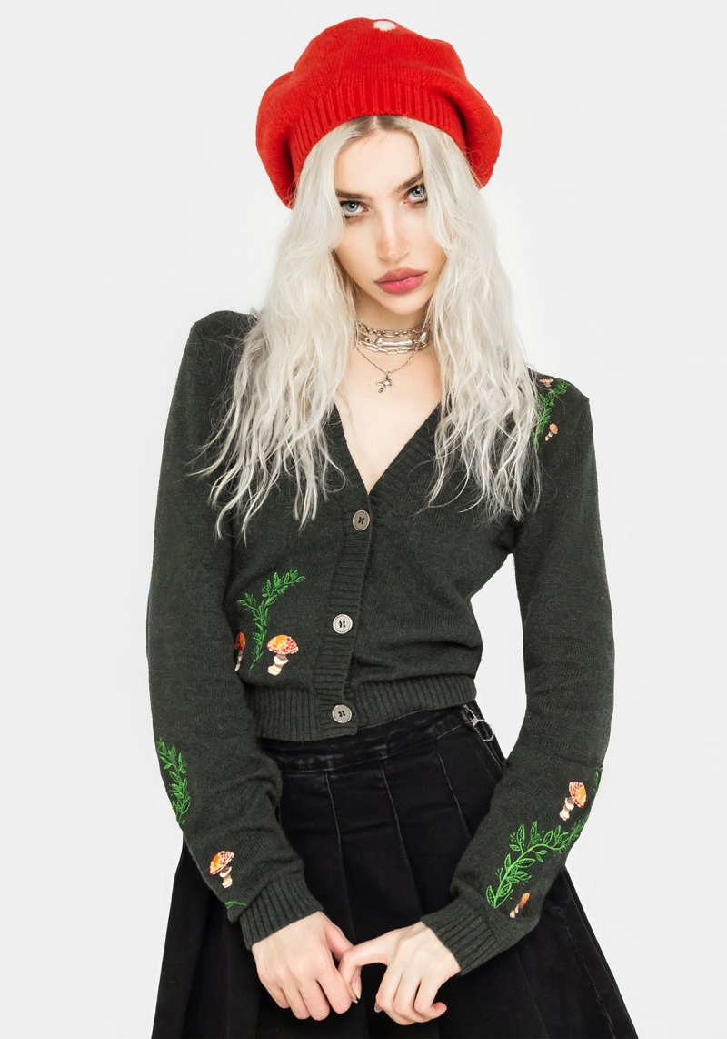 Disturbia Fly Agaric Mushroom Beret | GJ1672940