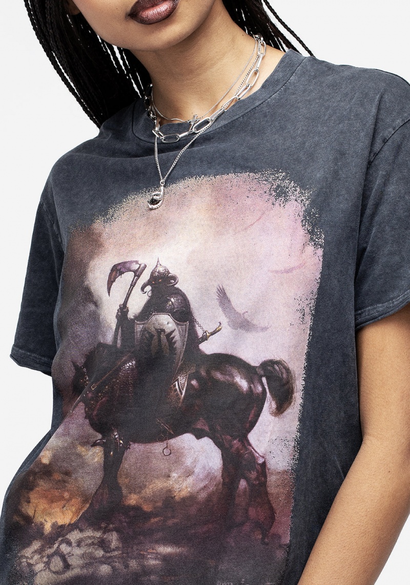 Disturbia Frazetta Death Dealer 1 Krátké Sleeve T-Shirt | JS6853104