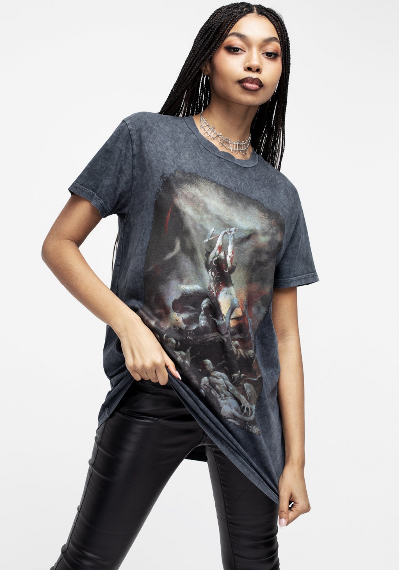 Disturbia Frazetta Death Dealer 2 Krátké Sleeve T-Shirt | RI2435069