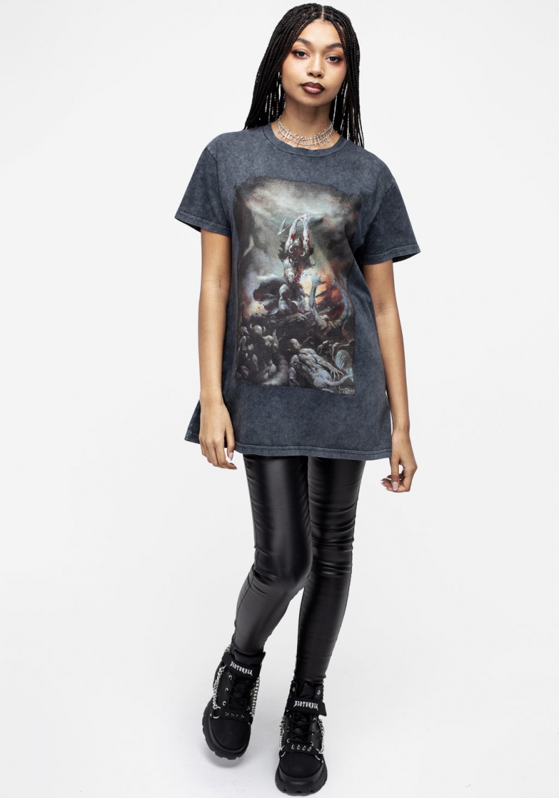 Disturbia Frazetta Death Dealer 2 Krátké Sleeve T-Shirt | RI2435069