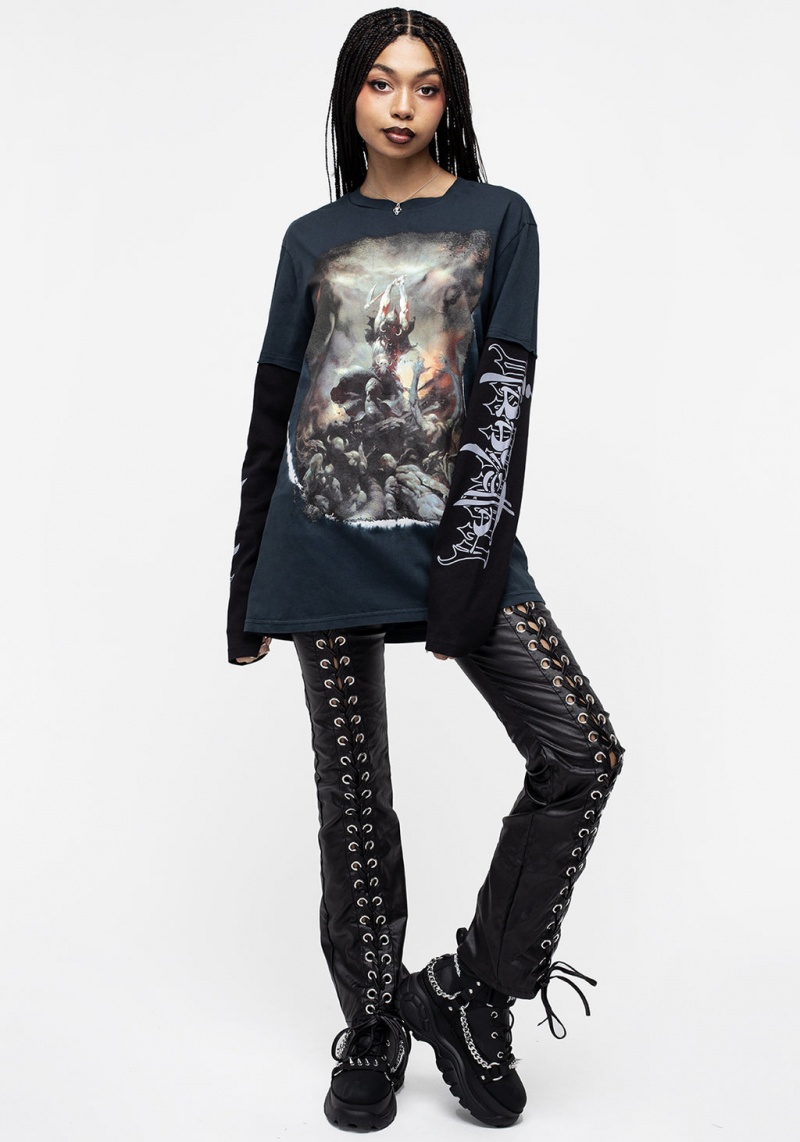 Disturbia Frazetta Death Dealer 2 Long Sleeve T-Shirt | CV2398561