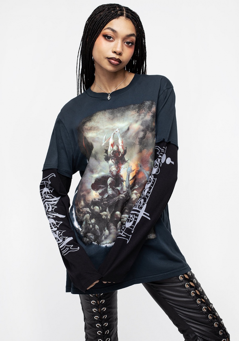 Disturbia Frazetta Death Dealer 2 Long Sleeve T-Shirt | CV2398561