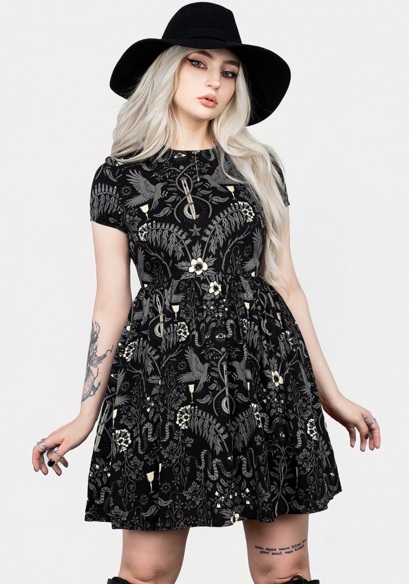 Disturbia Hecate's Garden Skater Mini Šaty | KU6095843