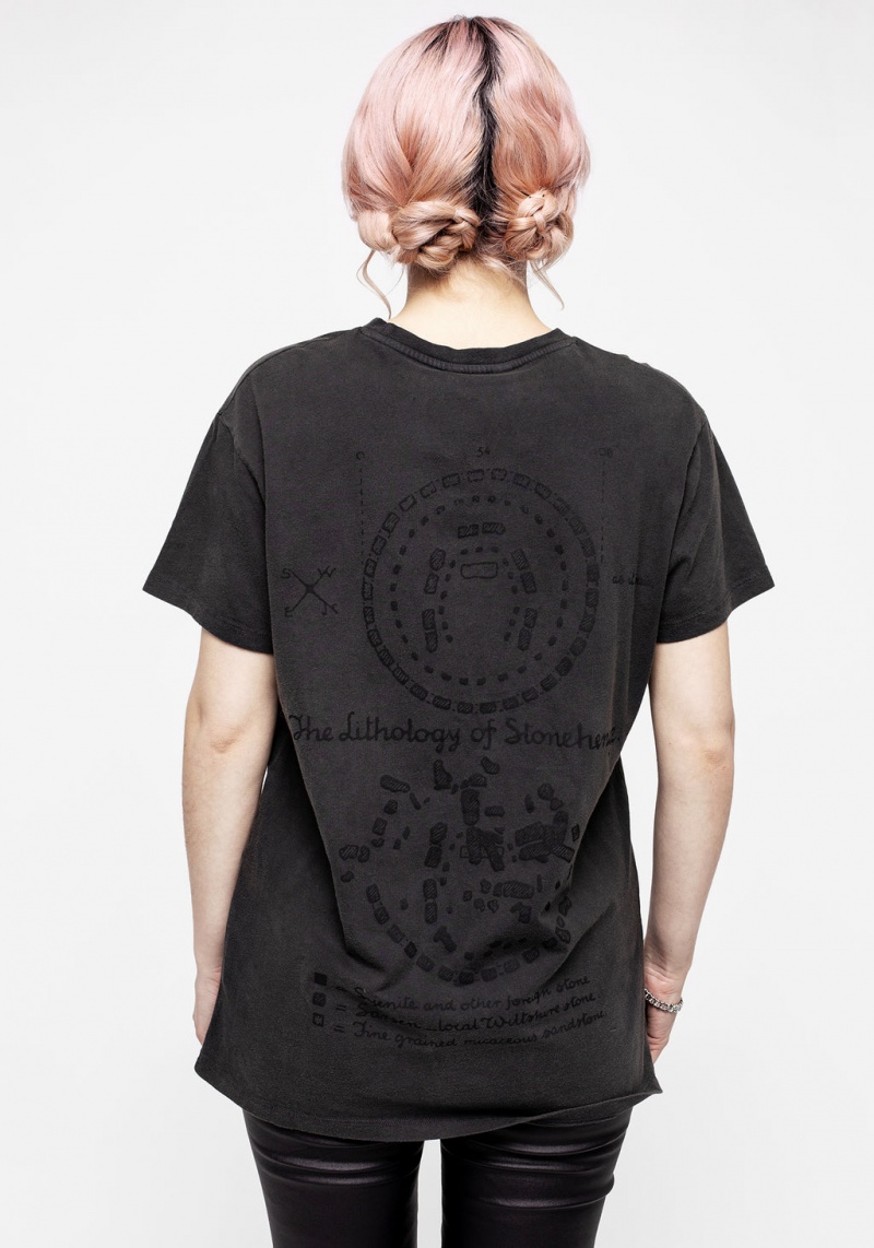 Disturbia Henge Krátké Sleeve T-shirt | WI6910837