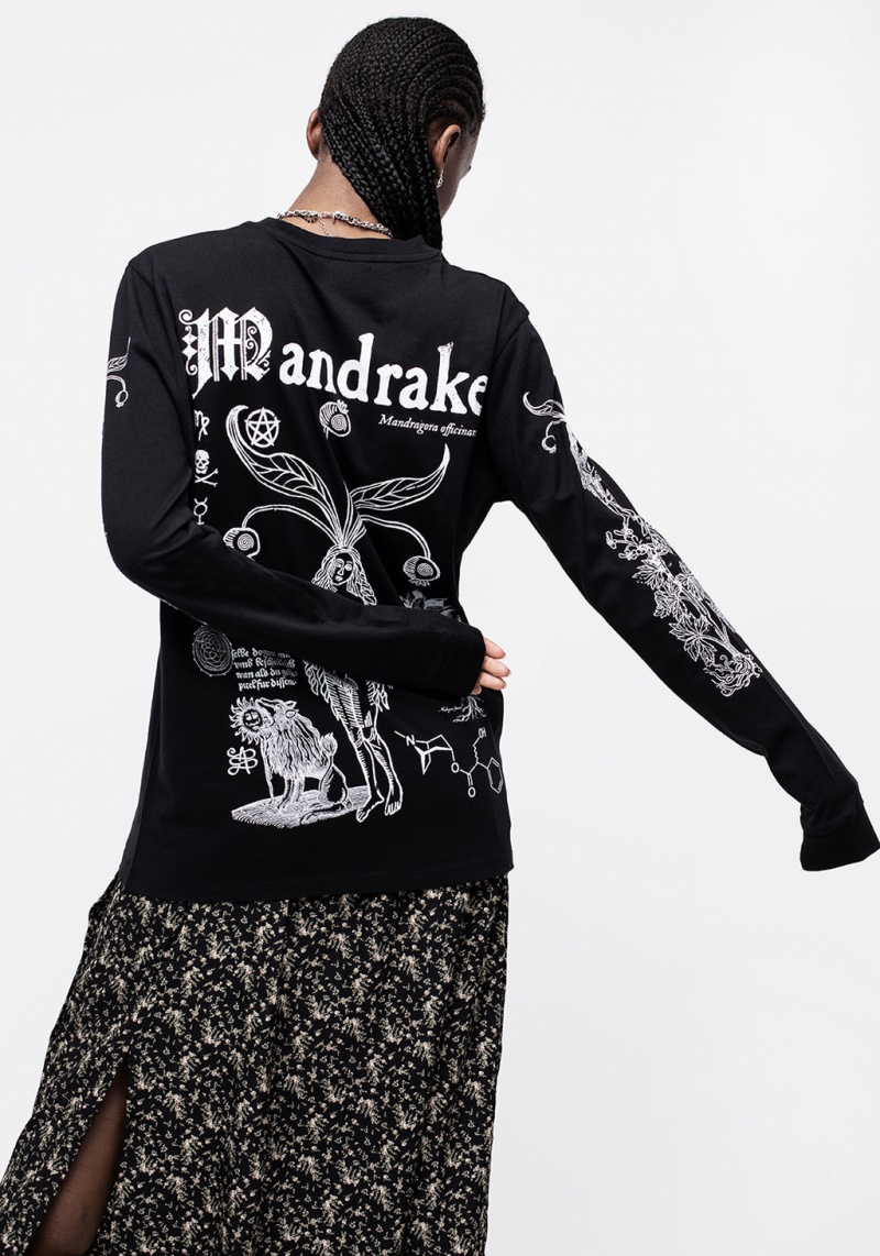 Disturbia Mandrake Long Sleeve Cuffed Tee | KC0236194