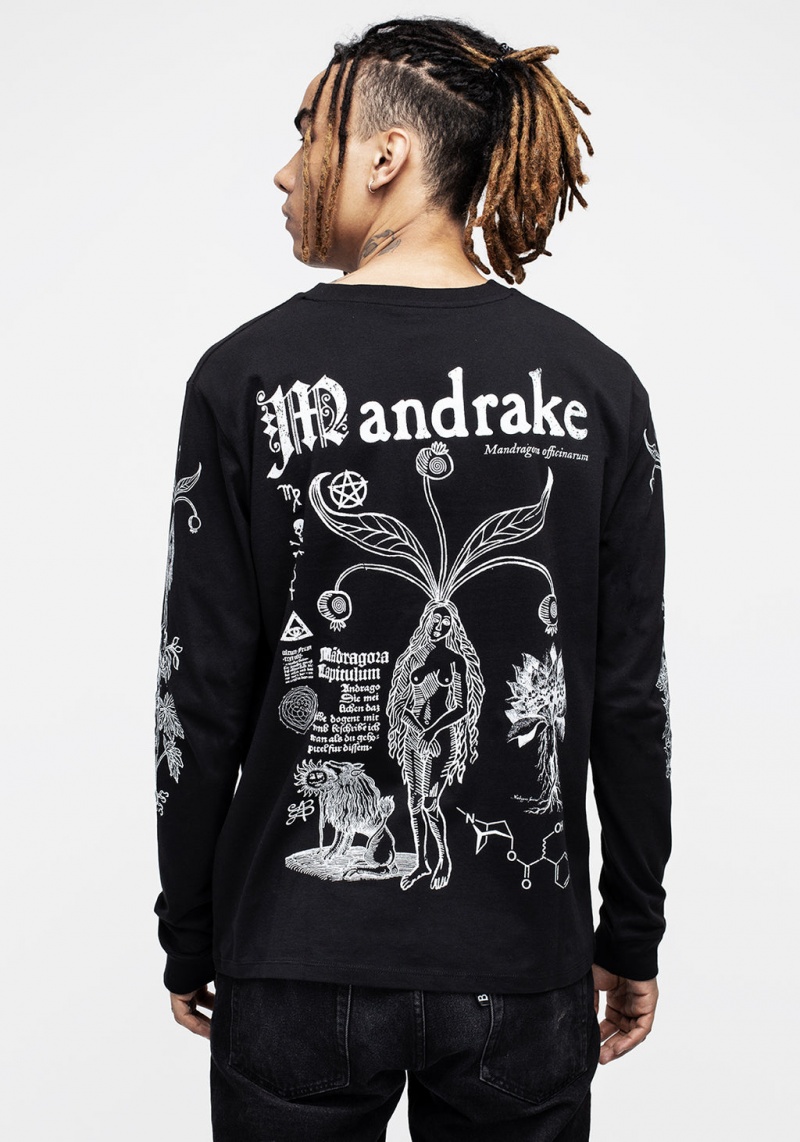 Disturbia Mandrake Long Sleeve Cuffed Tee | HM6705194