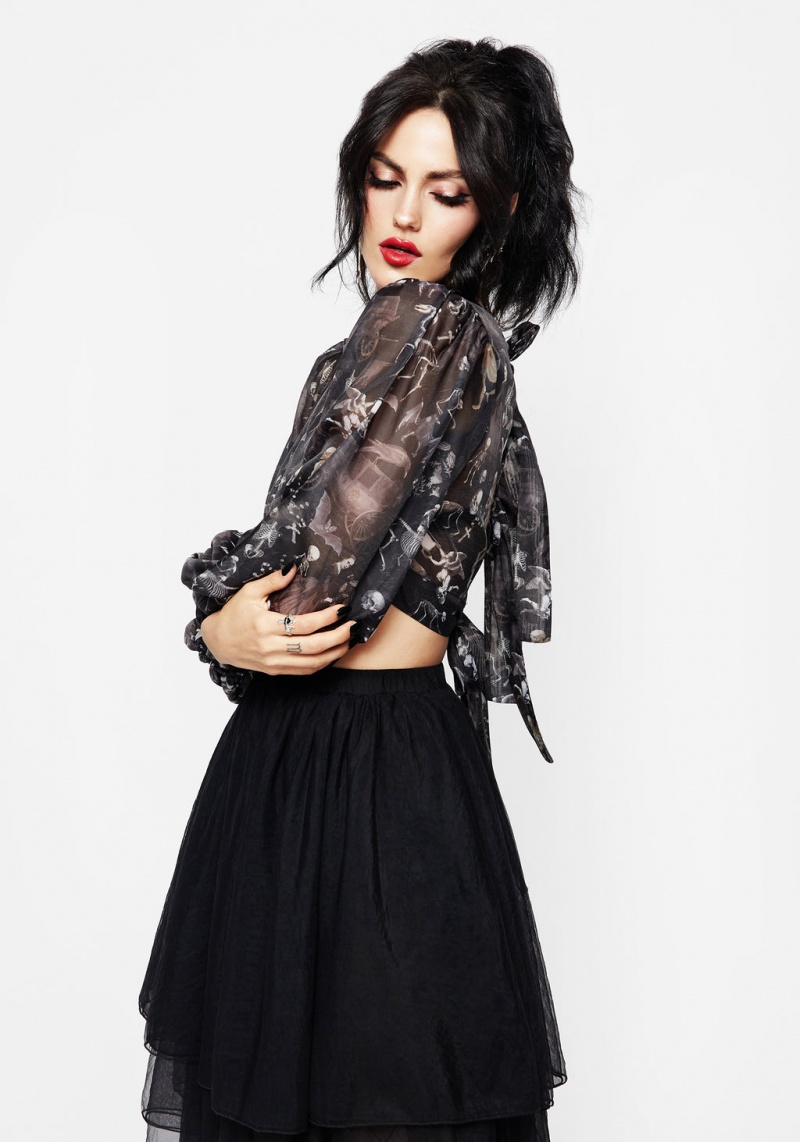 Disturbia Melancholia Puff Sleeve Tie Back Organza Crop Top | WE1683794