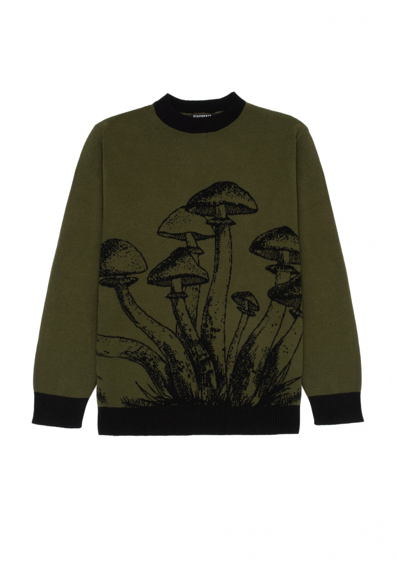 Disturbia Mildew Unisex Mushroom Jumper | SX0624813