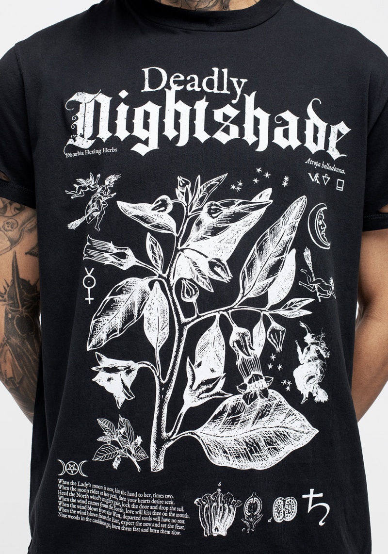 Disturbia Nightshade Distressed T-shirt | OU3521468