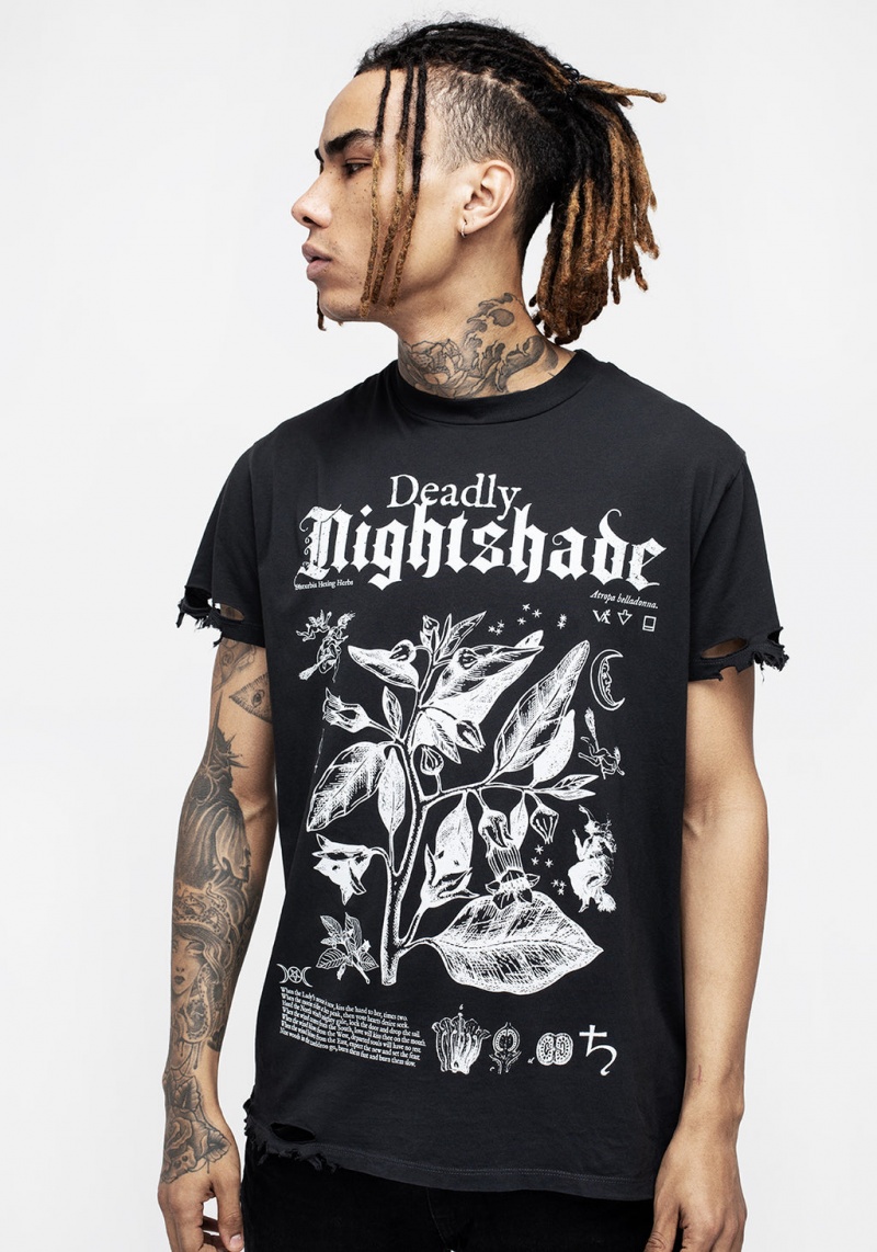 Disturbia Nightshade Distressed T-shirt | OU3521468