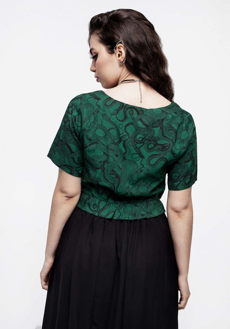 Disturbia Ophidia Snake Print Tie Detail Crop Top - Green | GW9085732