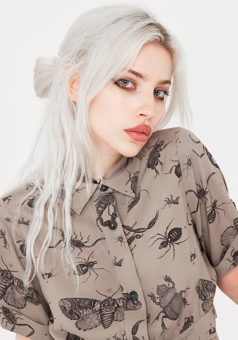 Disturbia Parasite Bugs Print Crop Krátké Sleeve Shirt - Taupe | NM7608451