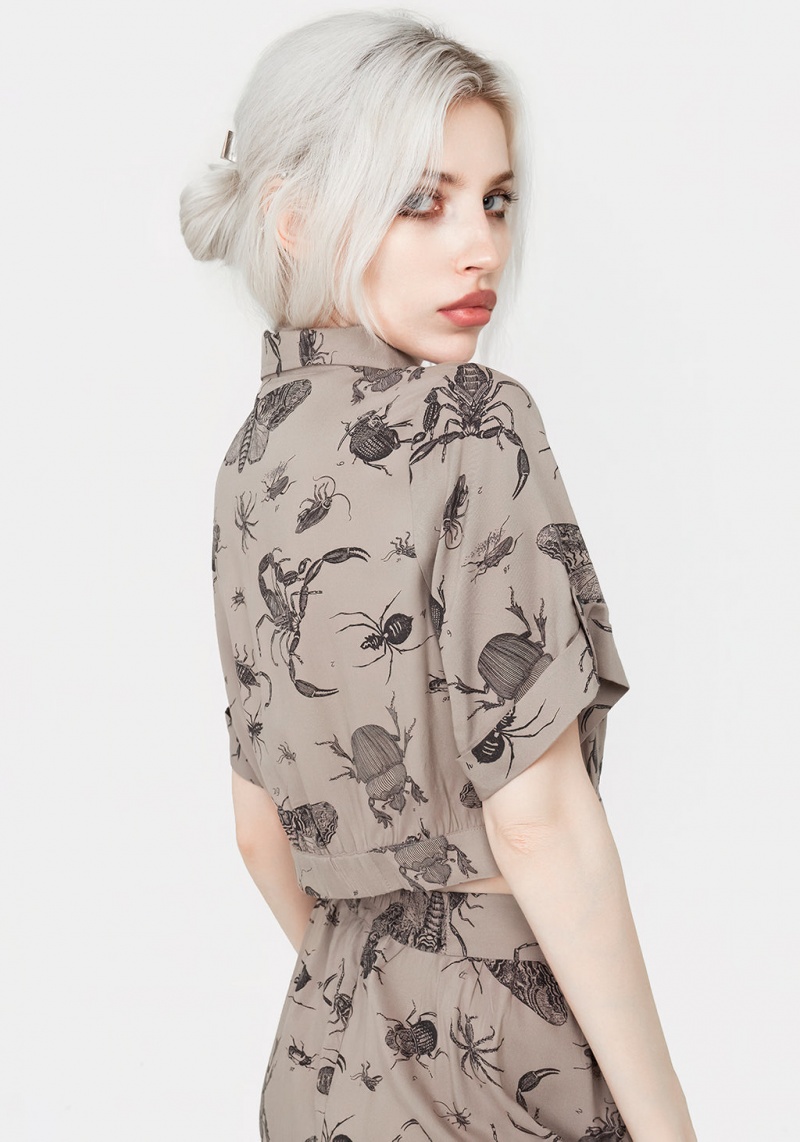 Disturbia Parasite Bugs Print Crop Krátké Sleeve Shirt - Taupe | NM7608451