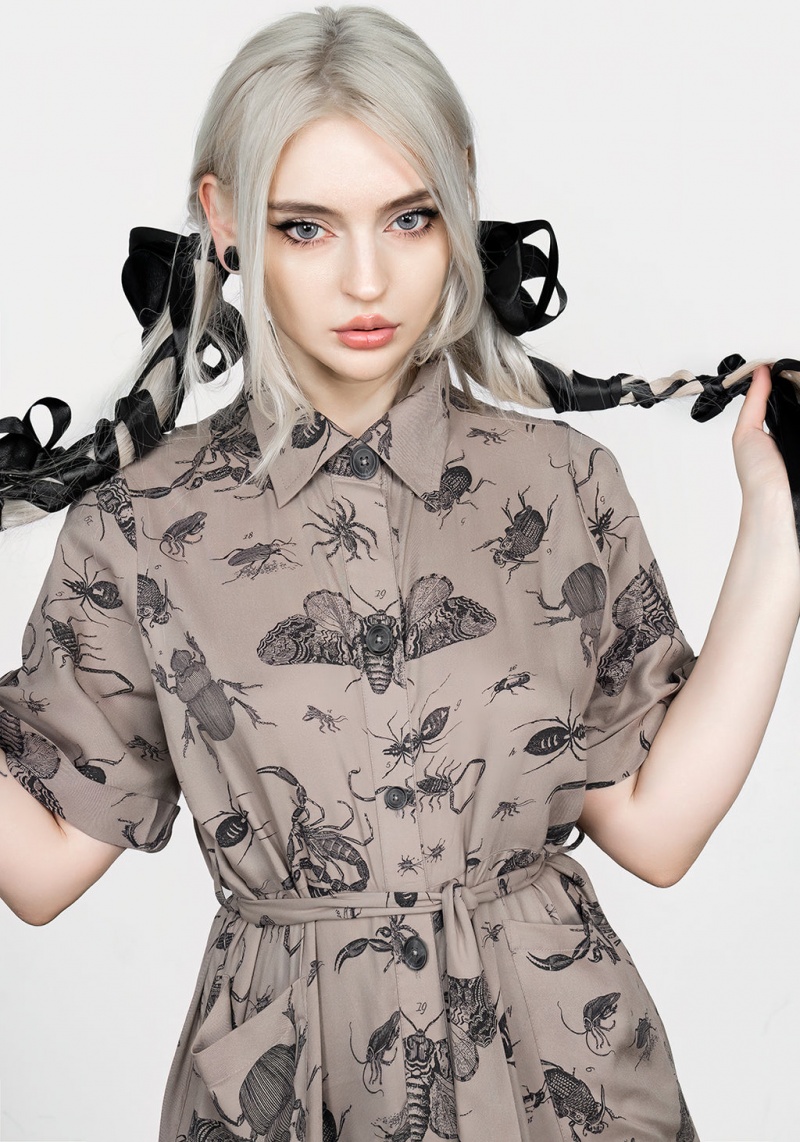 Disturbia Parasite Bugs Print Midi Krátké Sleeve Shirt Šaty - Taupe | LY1234756