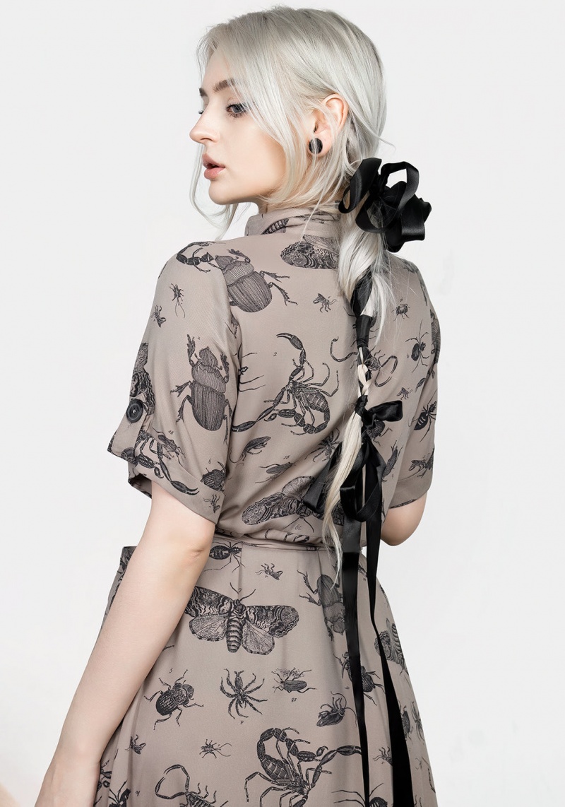 Disturbia Parasite Bugs Print Midi Krátké Sleeve Shirt Šaty - Taupe | LY1234756