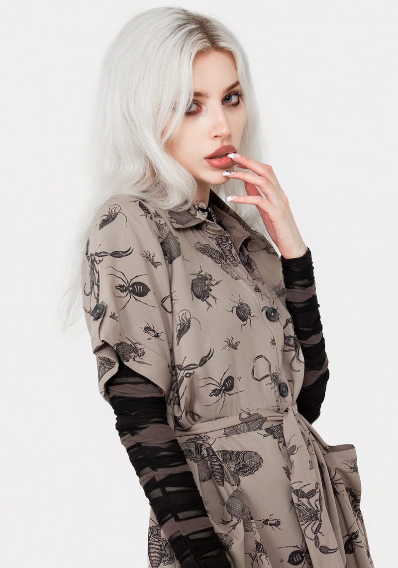 Disturbia Parasite Bugs Print Mini Krátké Sleeve Shirt Šaty - Taupe | CK8024371