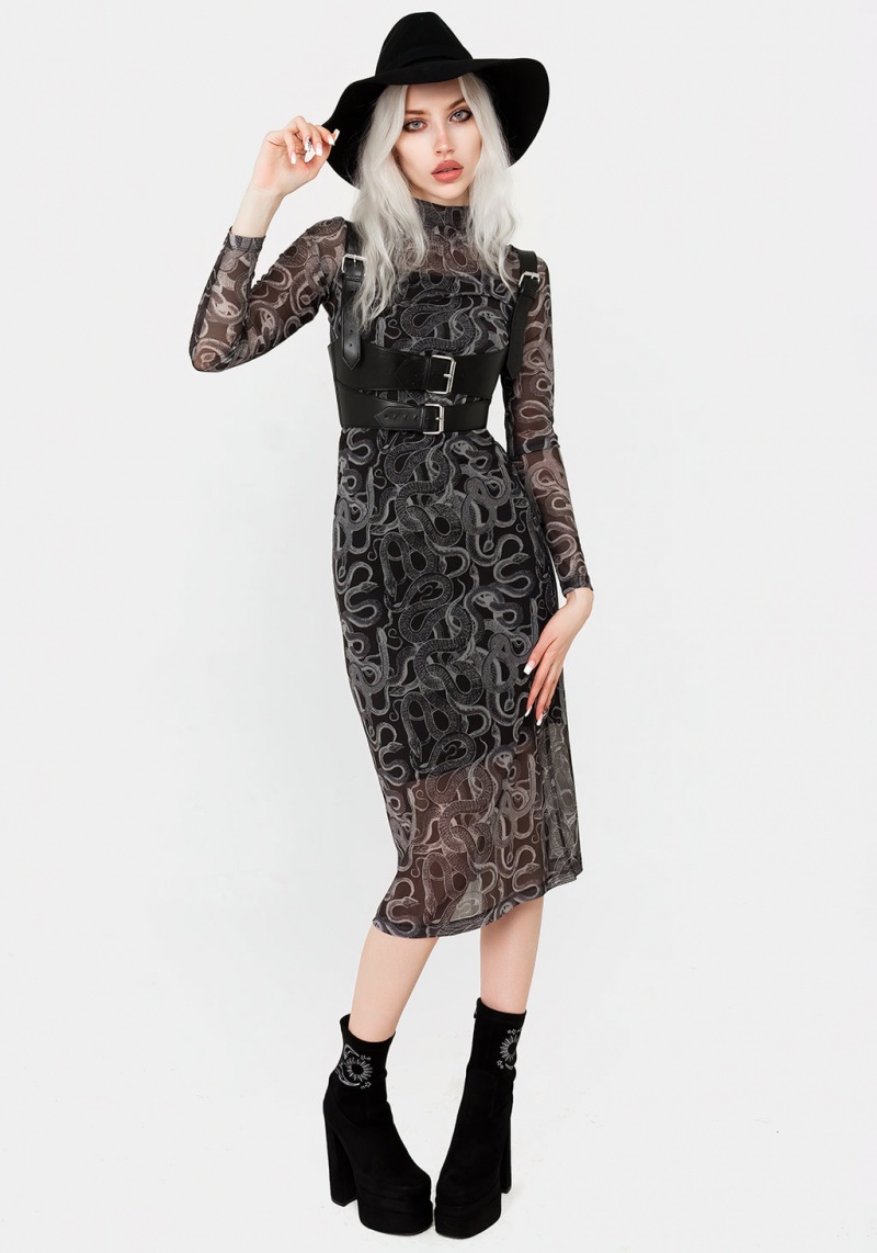 Disturbia Serpente Print Mesh Bodycon Midi Šaty | IL2879041